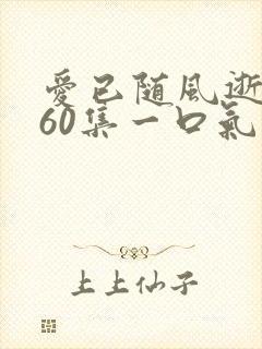 爱已随风逝短剧60集一口气看完