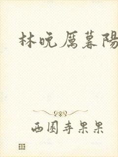林晚厉暮阳