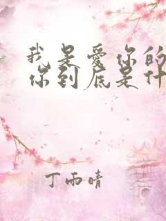 我是爱你的我爱你到底是什么歌