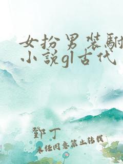 女扮男装驸马的小说gl古代