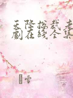 天降总裁老公短剧在线全集免费