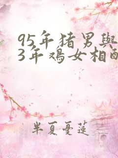 95年猪男与93年鸡女相配吗