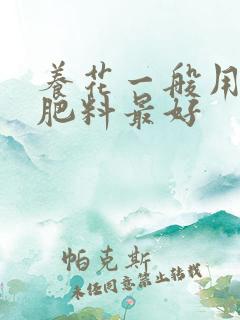 养花一般用什么肥料最好