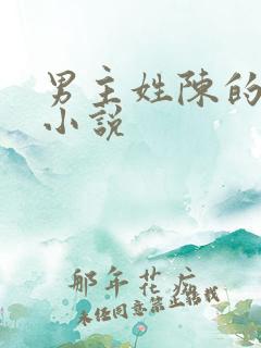 男主姓陈的现代小说