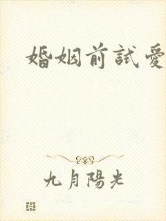 婚姻前试爱