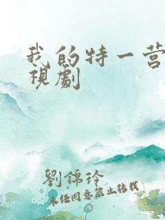 我的特一营 电视剧