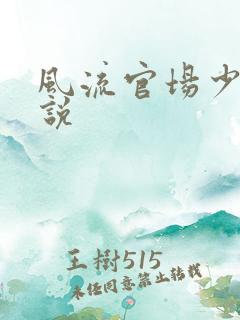风流官场少妇小说