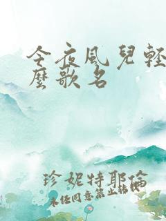 今夜风儿轻是什么歌名