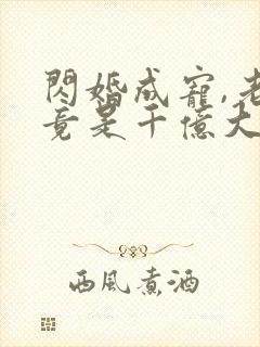 闪婚成宠,老公竟是千亿大佬 烦凡酱
