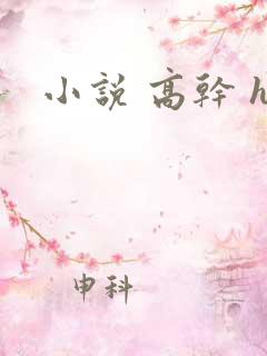 小说 高干 h