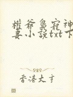 权爷枭宠神秘娇妻小说txt下载