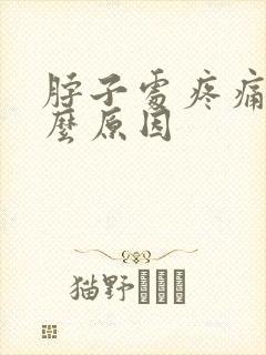 脖子处疼痛是什么原因