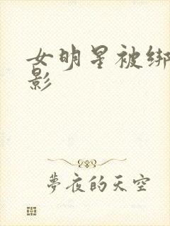 女明星被绑架电影