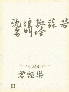 沈浪与苏若雪书名叫啥