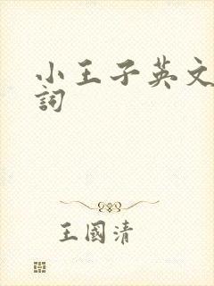 小王子英文版生词