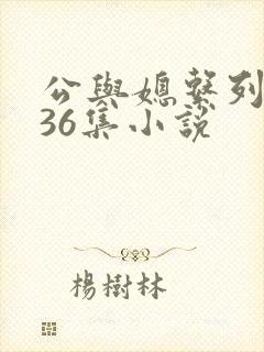 公与媳系列1—36集小说
