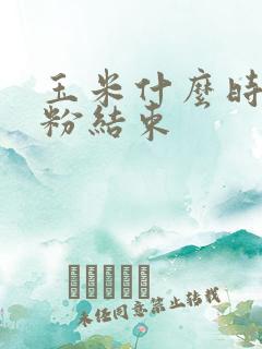 玉米什么时候授粉结束