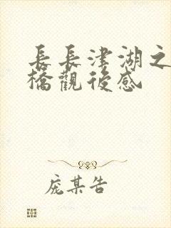 长长津湖之水门桥观后感