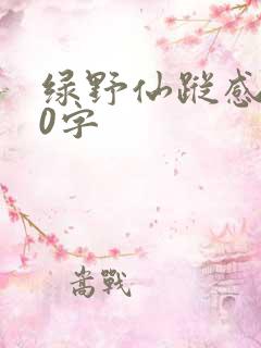 绿野仙踪感受50字