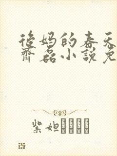 后妈的春天赵妍齐磊小说免费阅读