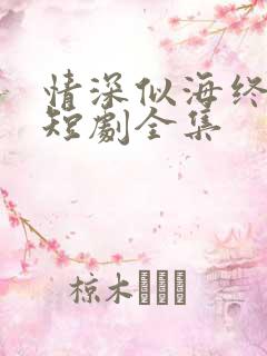 情深似海终成空短剧全集