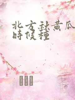 北方秋黄瓜什么时候种