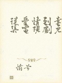 从爱情到幸福全集电视剧免费观看