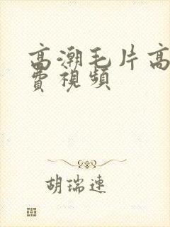高潮毛片高清免费视频
