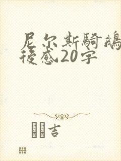 尼尔斯骑鹅记读后感20字