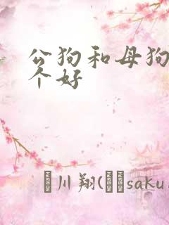 公狗和母狗养哪个好