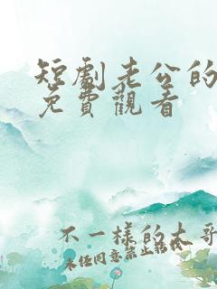短剧老公的秘密免费观看