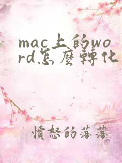mac上的word怎么转化成pdf