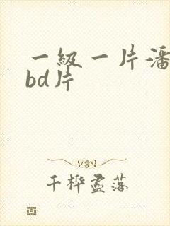 一级一片潘金莲bd片