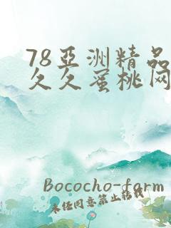 78亚洲精品久久久蜜桃网