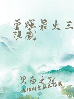 曾辉最火三部电视剧