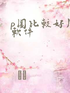 p图比较好用的软件