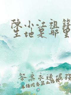 陈小江祖籍和出生地是哪里