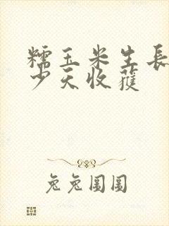 糯玉米生长期多少天收获