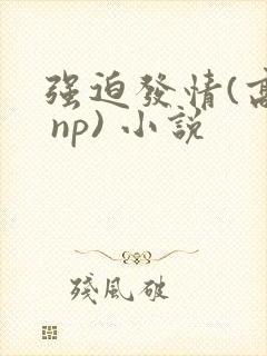 强迫发情(高h np) 小说