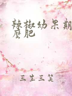 辣椒幼果期施什么肥