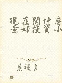 现在开什么店生意好投资小