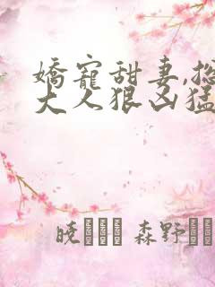 娇宠甜妻,总裁大人狠凶猛