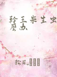 干玉米生虫子怎么办