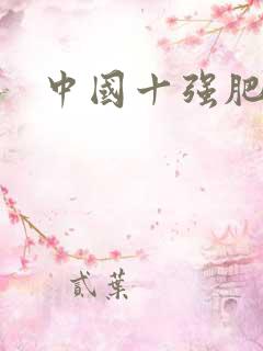 中国十强肥料