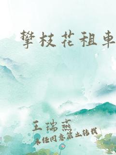 攀枝花租车行
