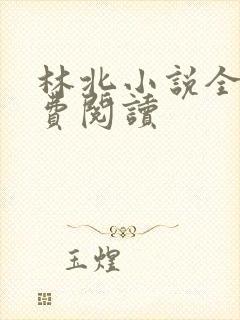 林北小说全文免费阅读