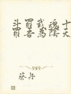 斗罗武魂十殿阎罗吾为阴天子免费阅读