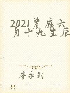 2021农历六月十九生辰八字