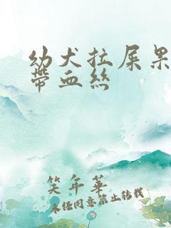 幼犬拉屎果冻状带血丝