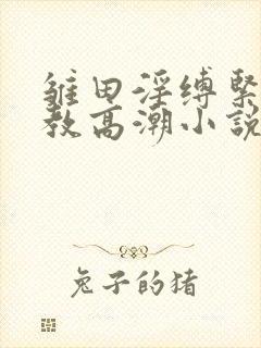 雏田淫缚紧缚调教高潮小说